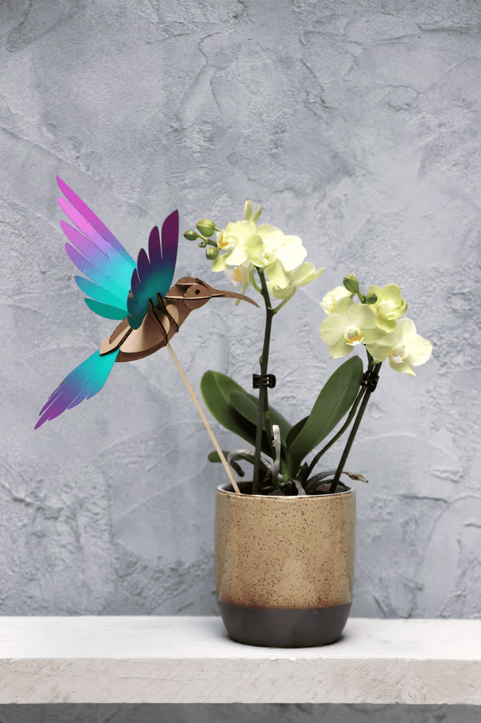 Colibri en papier - memoiredessiecles