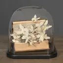 Echappée Belle sous Globe - memoiredessiecles