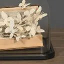 Echappée Belle sous Globe - memoiredessiecles