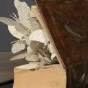 Echappée Belle sous Globe - memoiredessiecles