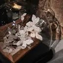 Echappée Belle sous Globe - memoiredessiecles