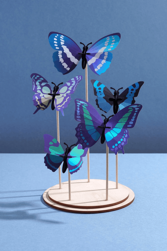 Présentoir à insectes ( vendu sans les insectes) - memoiredessiecles