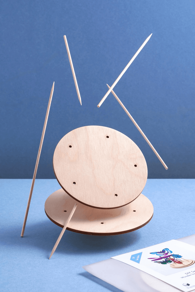 Présentoir à insectes ( vendu sans les insectes) - memoiredessiecles