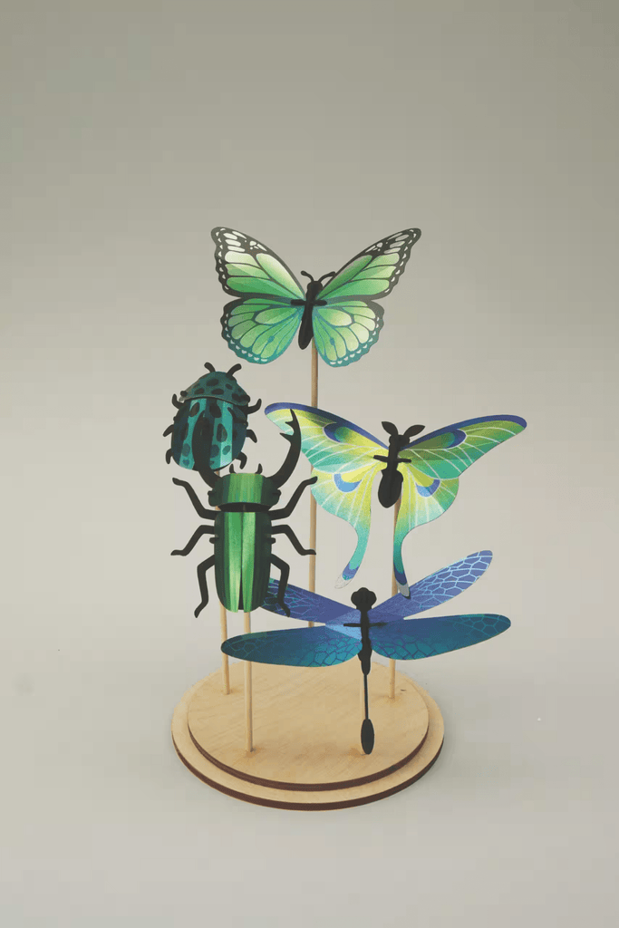 Présentoir à insectes ( vendu sans les insectes) - memoiredessiecles