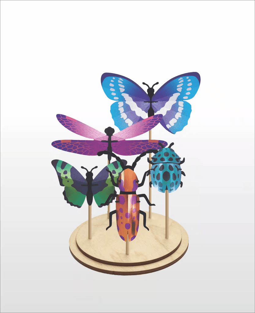 Présentoir à insectes ( vendu sans les insectes) - memoiredessiecles